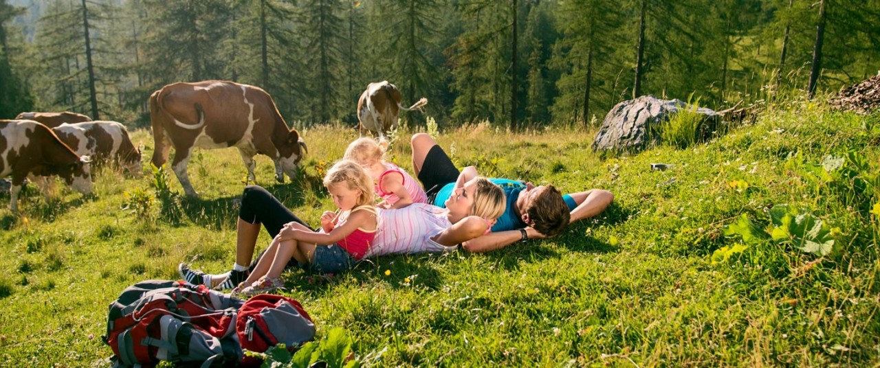 Familie beim Wandern im Sommer