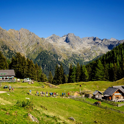 Wanderung in der Almlandschaft in Ramsau am Dachstein